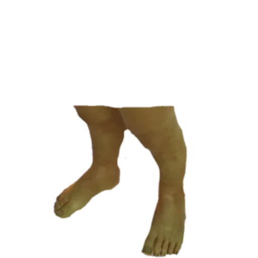 ступни лодыжка телёнок