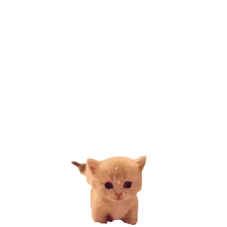 Sticker @stikerk877 - 5