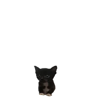 Sticker @stikerk877 - 1