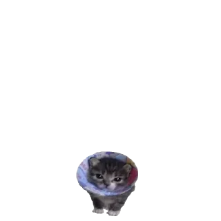 Sticker @stikerk877 - 7