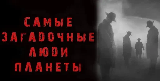 Истории Фриды - 