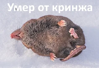 Sticker хлеб - 7