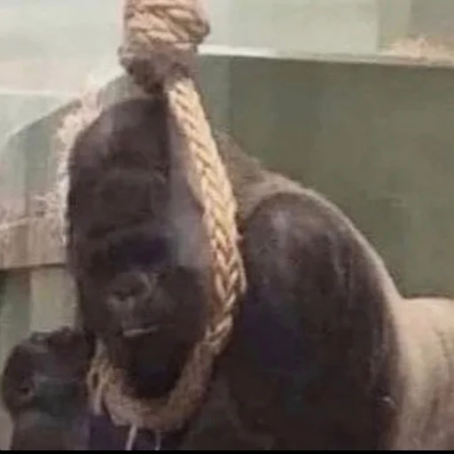 text mammal sculpture