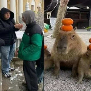 Sticker Создать стикеры|@EmojiRuBot - 9