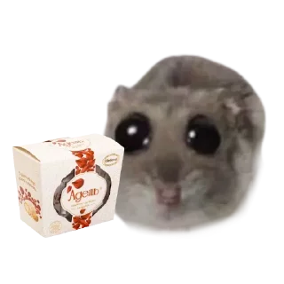 Sticker HAMSTER KOMBAT - 2