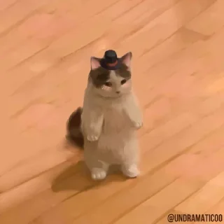 Стикер Больше стиков тут: @stikery4 - 8