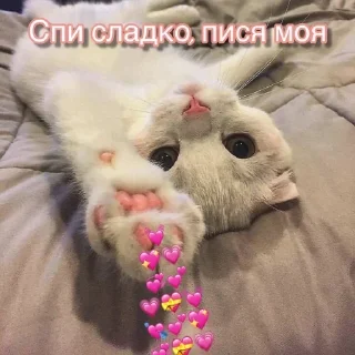 Sticker Больше стикеров: @sticerru - 4