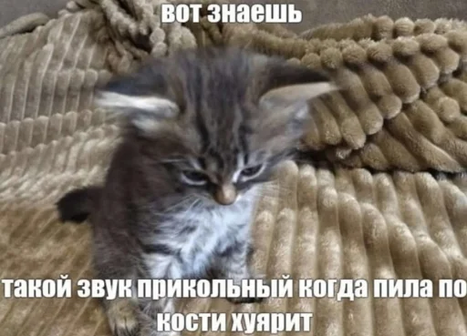 Sticker HEDbIHDPA - 1