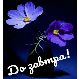 Стикер HEV_mm6NTT - 7