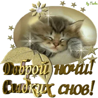 Стикер HEV_mm6NTT - 9