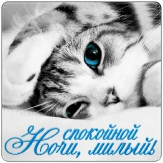 Стикер HEV_mm6NTT - 5