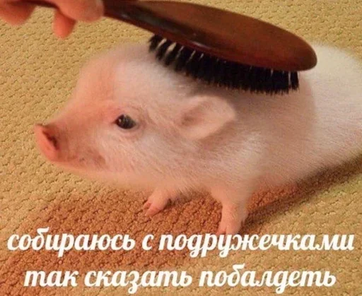 Sticker HEYukkPWlKhplz_by_stickers_stealer_bot - 1