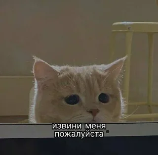 Sticker Больше стикеров 👉🏻 @stickertg4 - 1