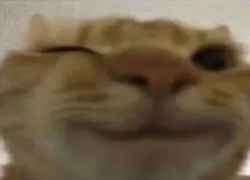 Sticker HFSKEVD_by_stikers_du_ark_bot - 1