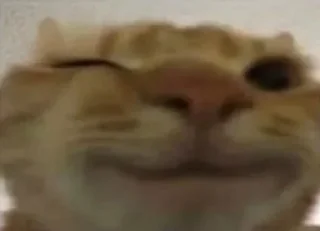 Sticker @sticksbb <— больше стиков💓💘💞 - 7