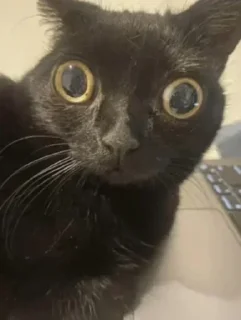 Sticker @sticksbb <— больше стиков💓💘💞 - 4