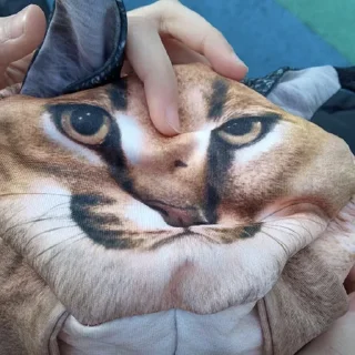 Стикер Больше стиков тут: @stikery4 - 4