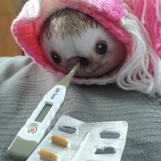 Стикер Больше стиков тут: @stikery4 - 1