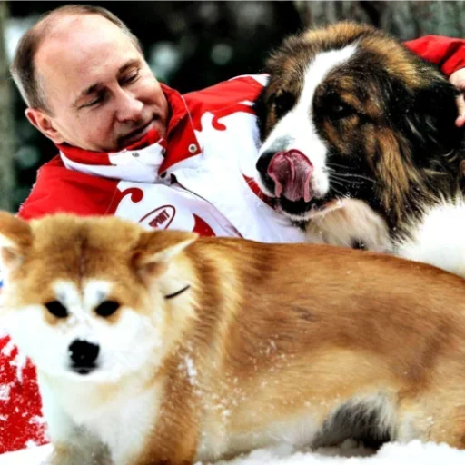 Sticker HGKlICPWb_by_stickers_stealer_bot - 1