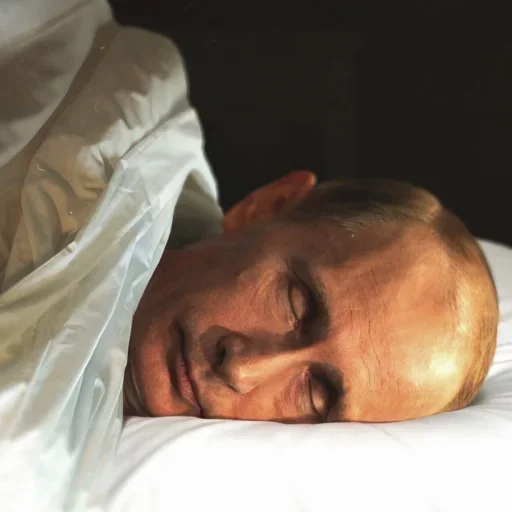 Sticker HGKlICPWb_by_stickers_stealer_bot - 1