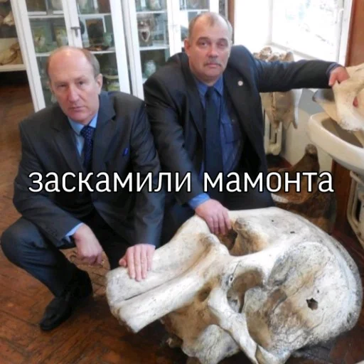 Sticker ХГЗВА топ😍 - 9