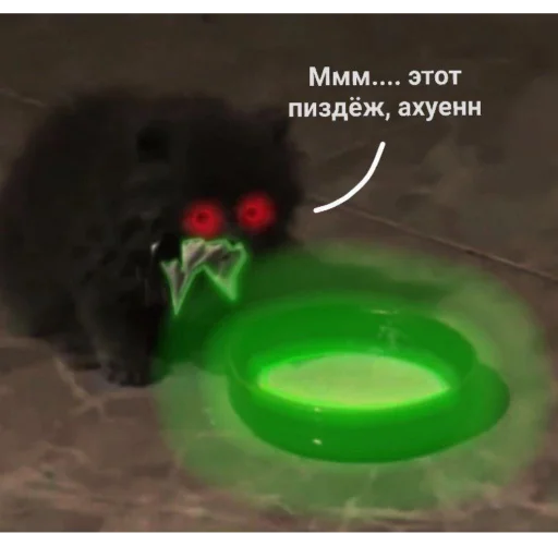 Sticker HG_Stick - 1