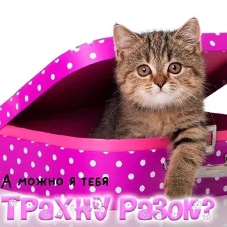 Стикер @HH_NEWS_HH - 11