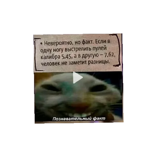 Sticker HIHIHIHA31 - 1