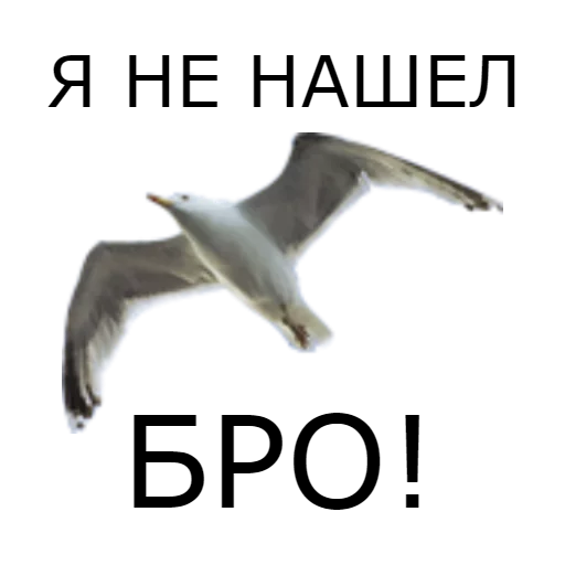 Sticker HIMPROMOREEEL - 1