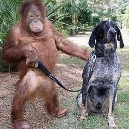 Лучшие стикеры - @lovesticers - 