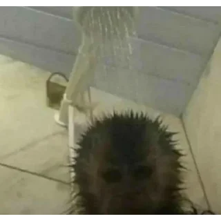 Sticker Лучшие стикеры - @lovesticers - 11