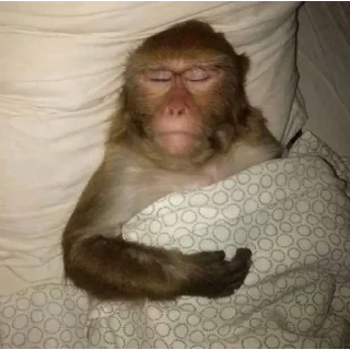 Sticker Лучшие стикеры - @lovesticers - 6