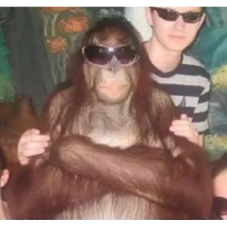 Sticker Лучшие стикеры - @lovesticers - 2