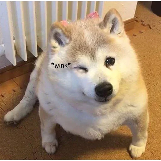 Sticker HJWmvBD_by_achestickbot - 1