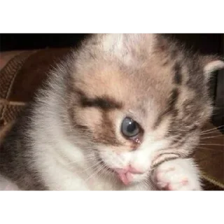 Sticker Больше стиков тут: @stikery4 - 9