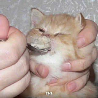 Sticker Больше стиков тут: @stikery4 - 10