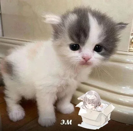 Sticker HLNlXrxBcnGzcLvOZu_by_stickers_stealer_bot - 1