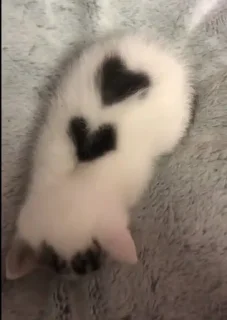 Стикер Пак создан в @moyi_stikery_bot - 2