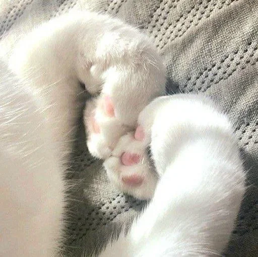 Стикеры тут: @stikeryv - 