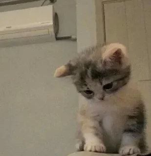 Стикер Стикеры тут: @stikeryv - 5