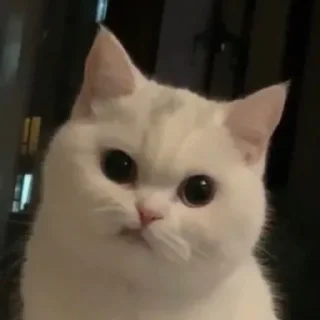 Стикер Стикеры тут: @stikeryv - 3