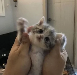 Стикер Стикеры тут: @stikeryv - 6