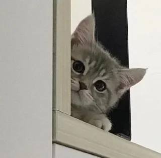 Стикер Стикеры тут: @stikeryv - 10