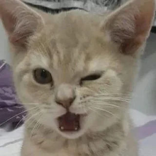 Стикер Стикеры тут: @stikeryv - 8