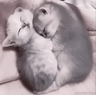 Стикер Стикеры тут: @stikeryv - 4