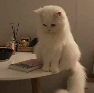 Стикер Стикеры тут: @stikeryv - 1