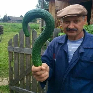 Стикер 💕Стики тут: @sekstick - 2