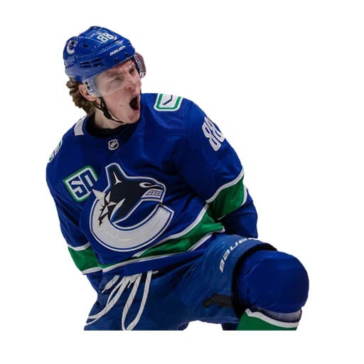 хоккей одежда спортивная форма