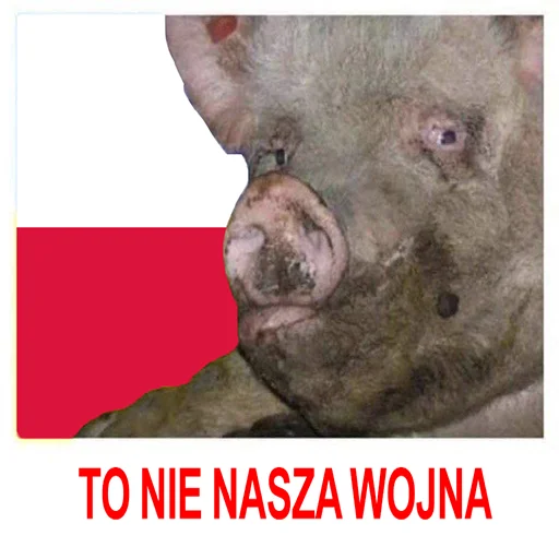 Sticker HOHLOMIDIOZ - 1