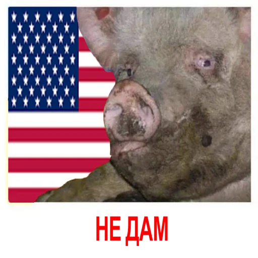 Sticker HOHLOMIDIOZ - 1